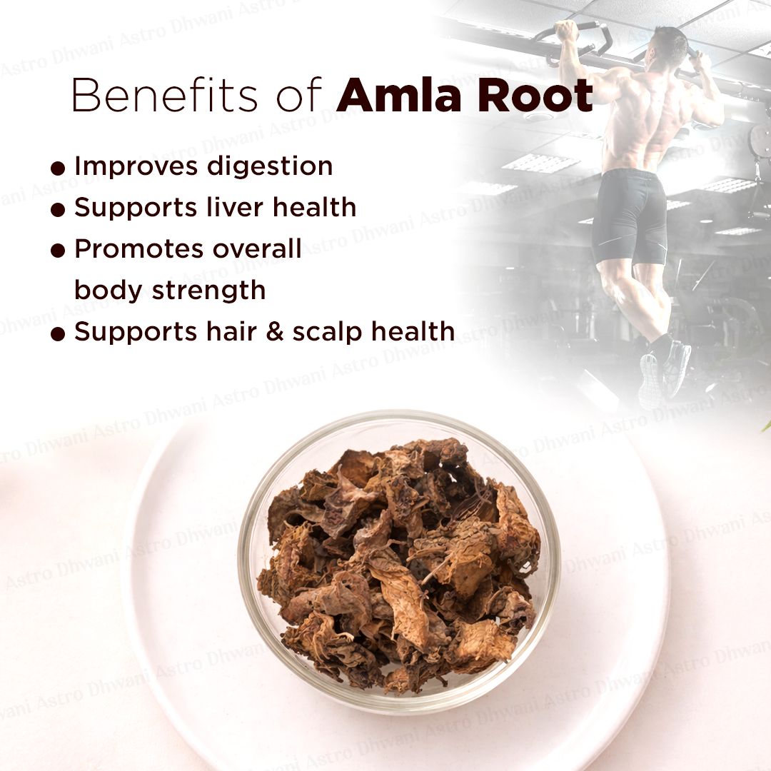 Amla Root - Abhimantrit