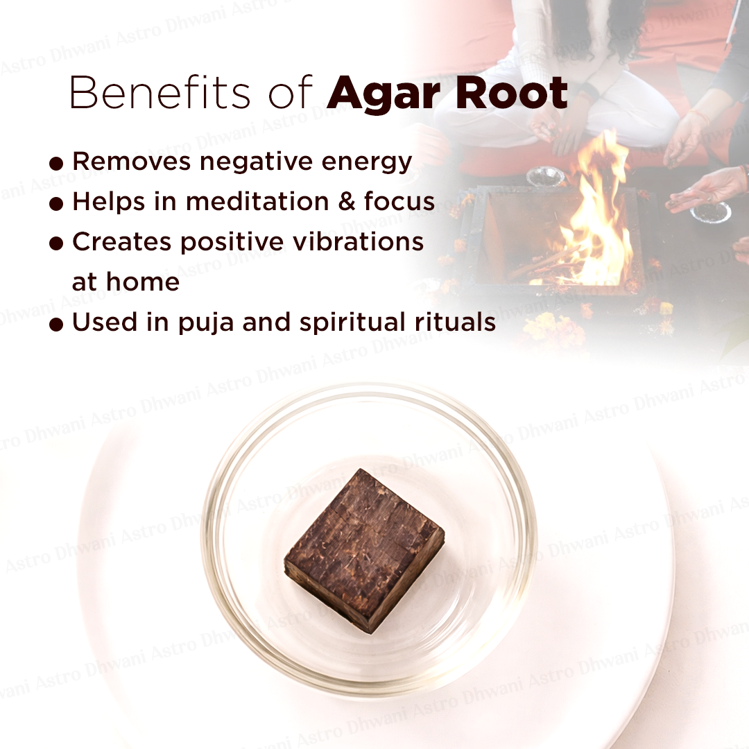 Agar Root - Abhimantrit