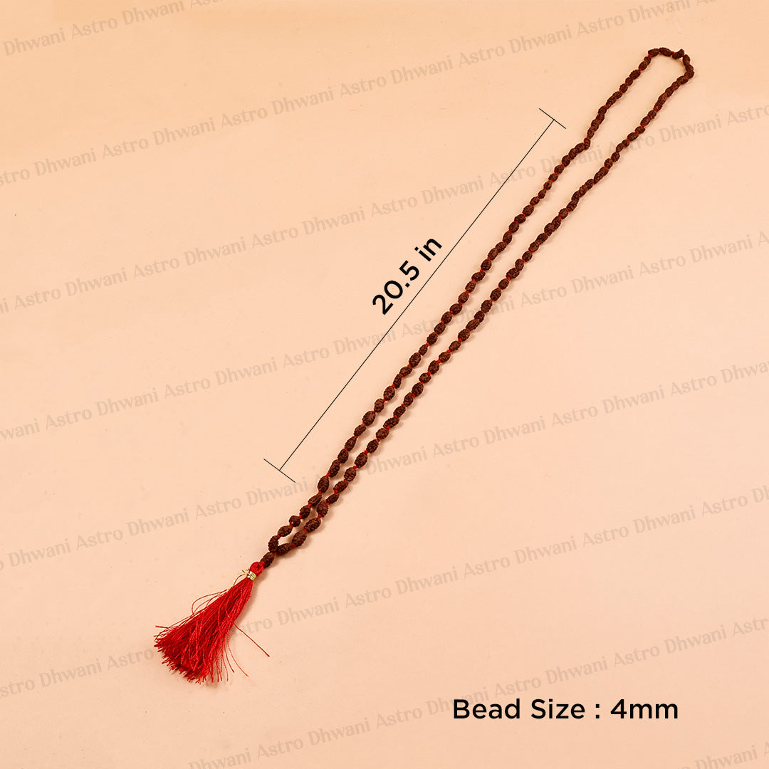 2 Mukhi Rudraksha Mala – Sacred Spiritual Necklace for Unity, Meditation & Divine Blessings