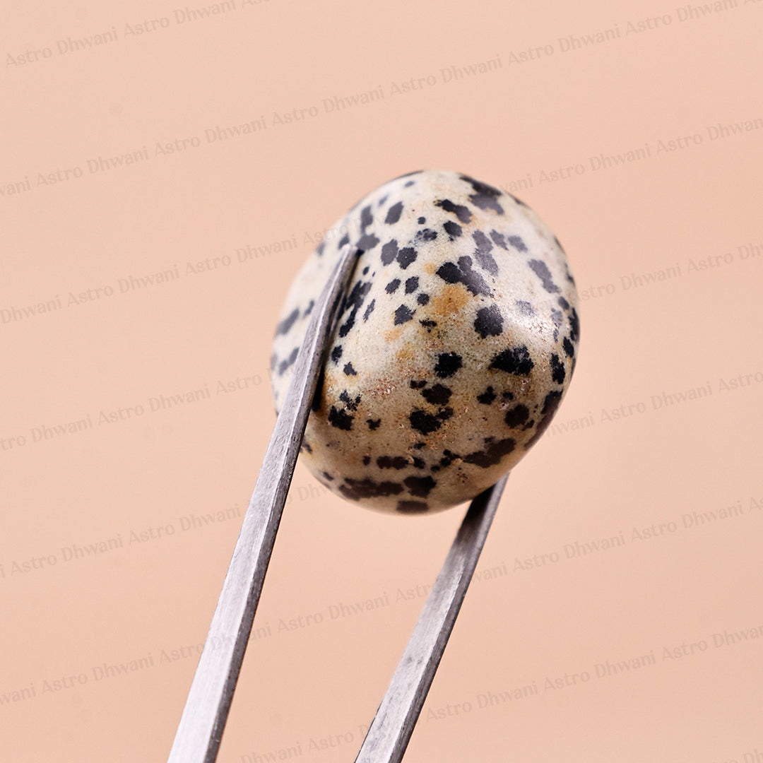 DALMATIAN JASPER TUMBLE ( Abhimantrit & Certified )