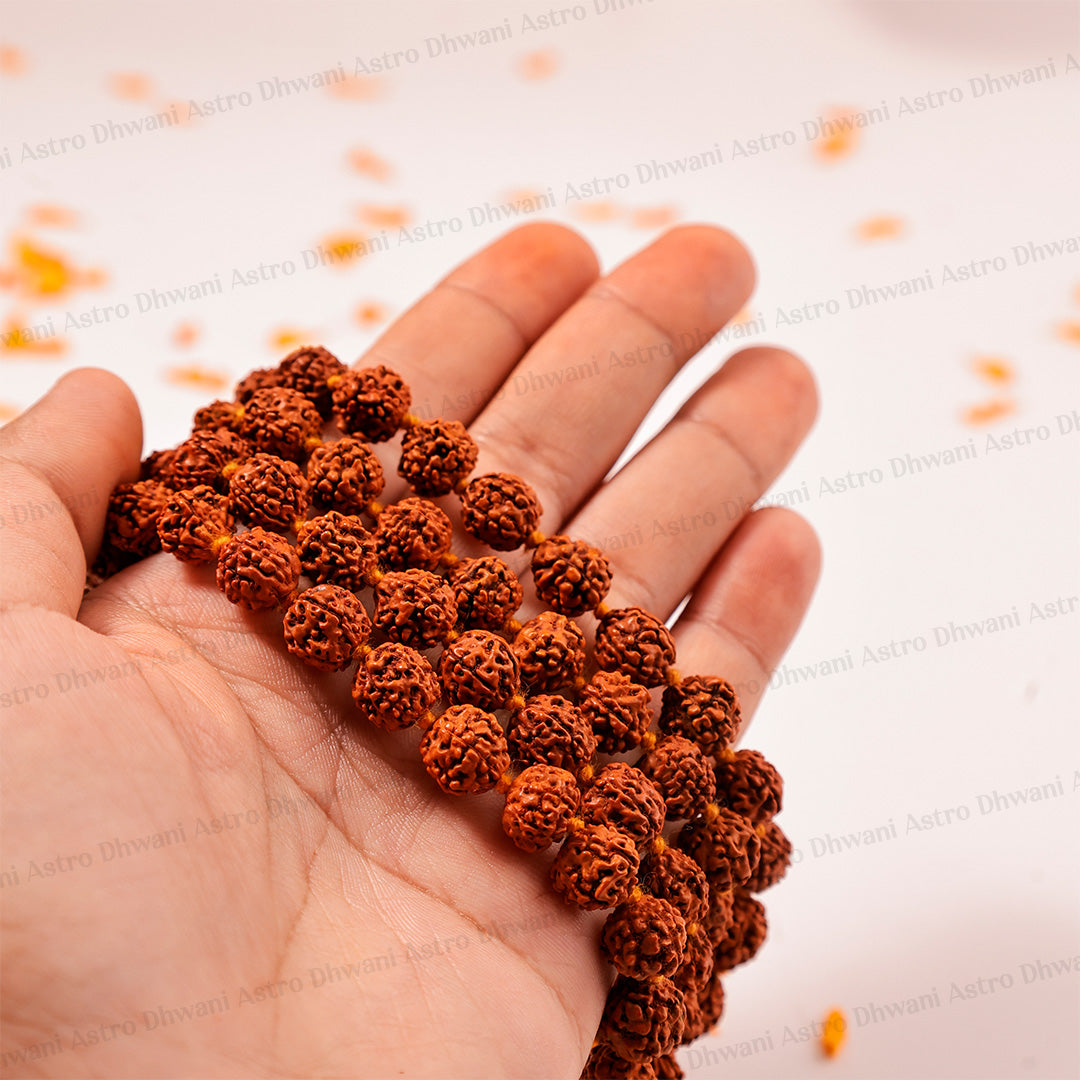 5 Mukhi Rudraksha Mala | Sacred Rudraksha Necklace for Meditation, Prayer, Japa & Spiritual Growth