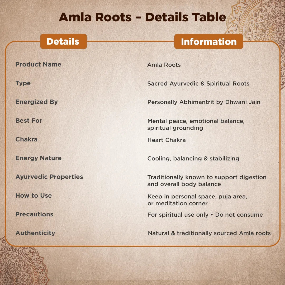 Product details table for Amla Roots on a textured backgroundAmla Root – Vitality, Healing & Positive Energy Support