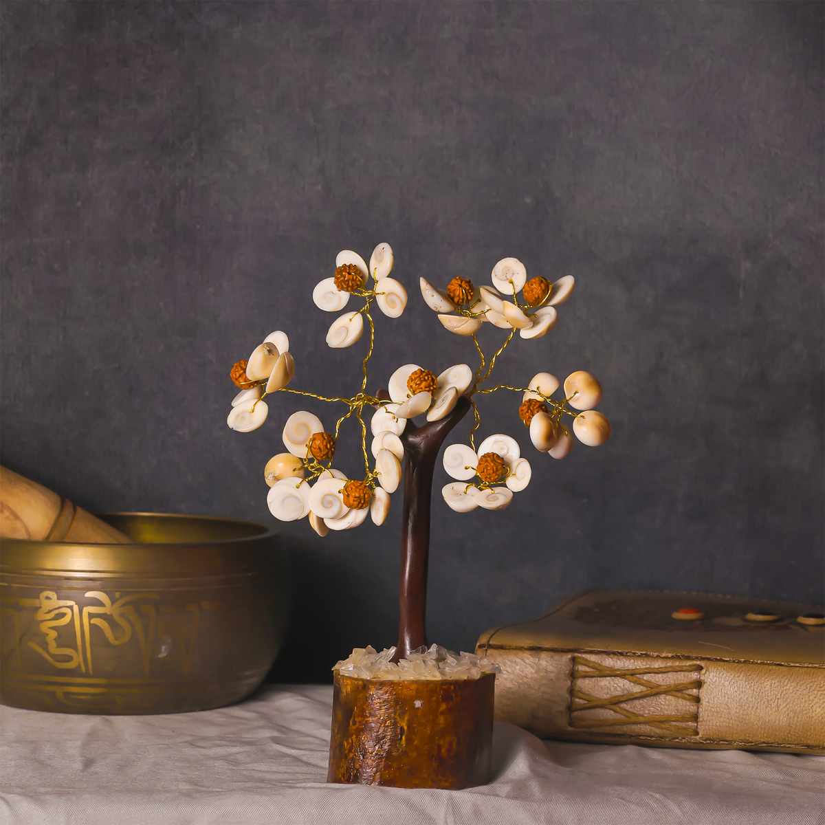 Protects from evil effects and brings positive energy Tree (Gomti Chakra & Rudraksh Tree)