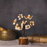 Protects from evil effects and brings positive energy Tree (Gomti Chakra & Rudraksh Tree)