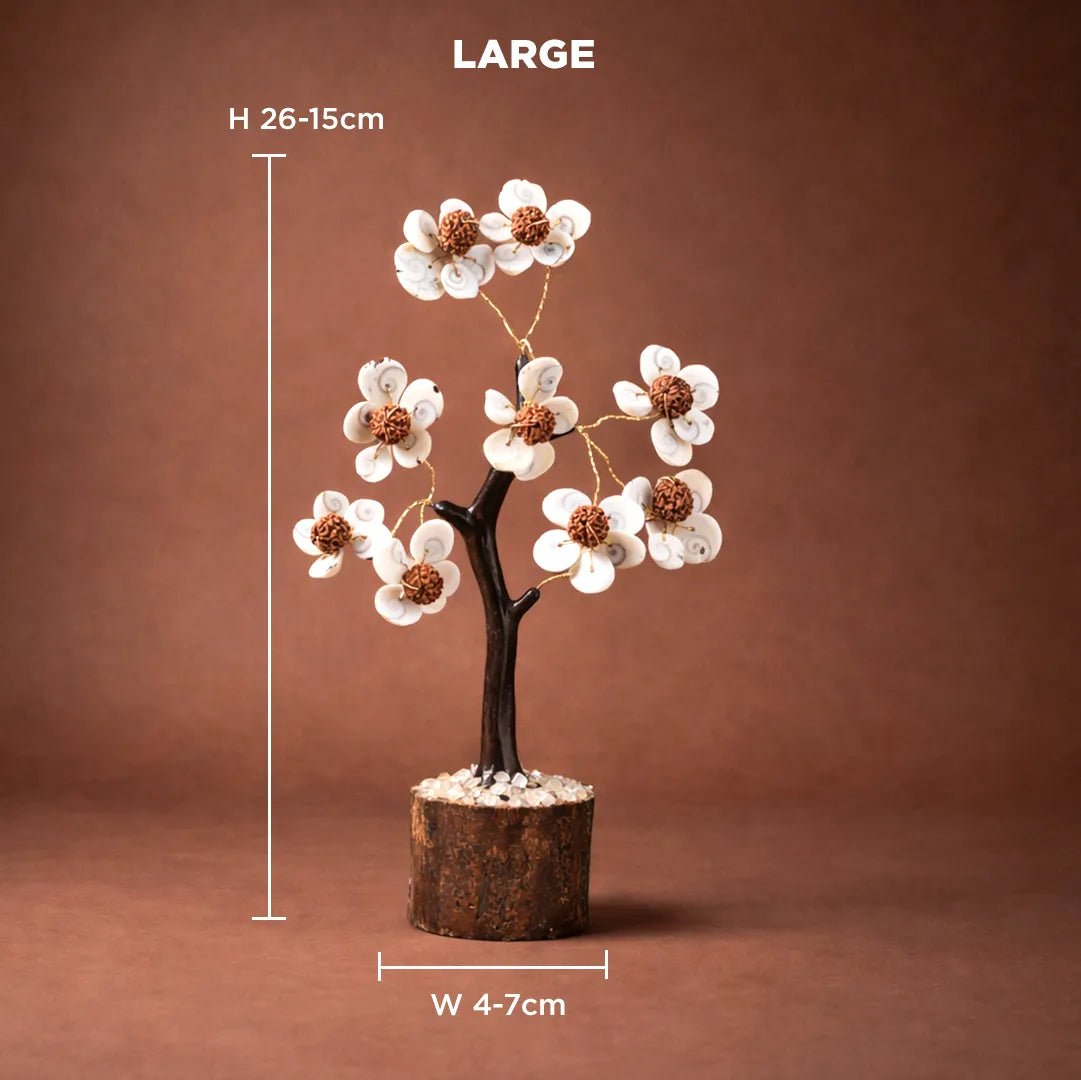Decorative potted tree with measurements on a brown backgroundबुरे प्रभावों से बचाता है और सकारात्मक ऊर्जा लाता है वृक्ष (गोमती चक्र और रुद्राक्ष वृक्ष)-अभिमंत्रित