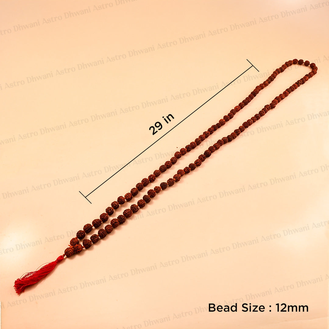 5 Mukhi Rudraksha Mala | Sacred Rudraksha Necklace for Meditation, Prayer, Japa & Spiritual Growth