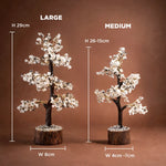 Two decorative trees with measurements on a brown background