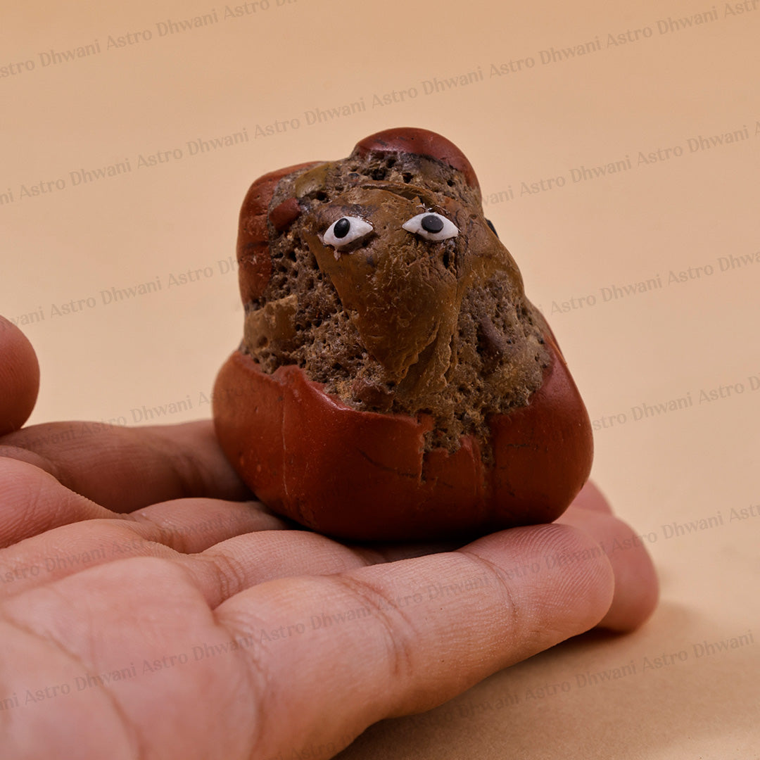 Sonbhadra Ganesh Idol – Naturally Formed Sacred Stone Ganesha | Spiritually Energized | Divine Home Temple Idol