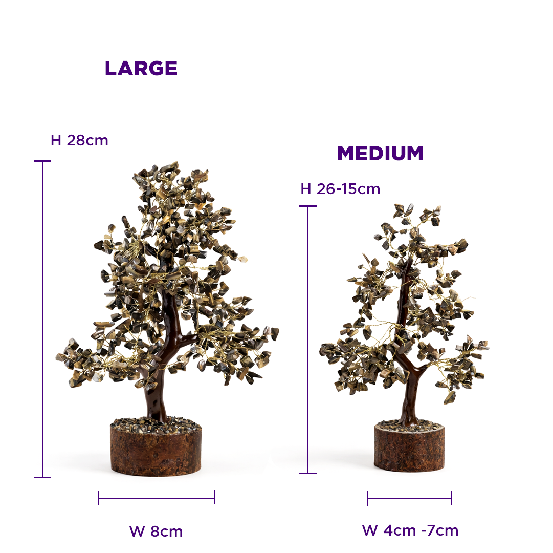 Tiger Eye Tree - Abhimantrit