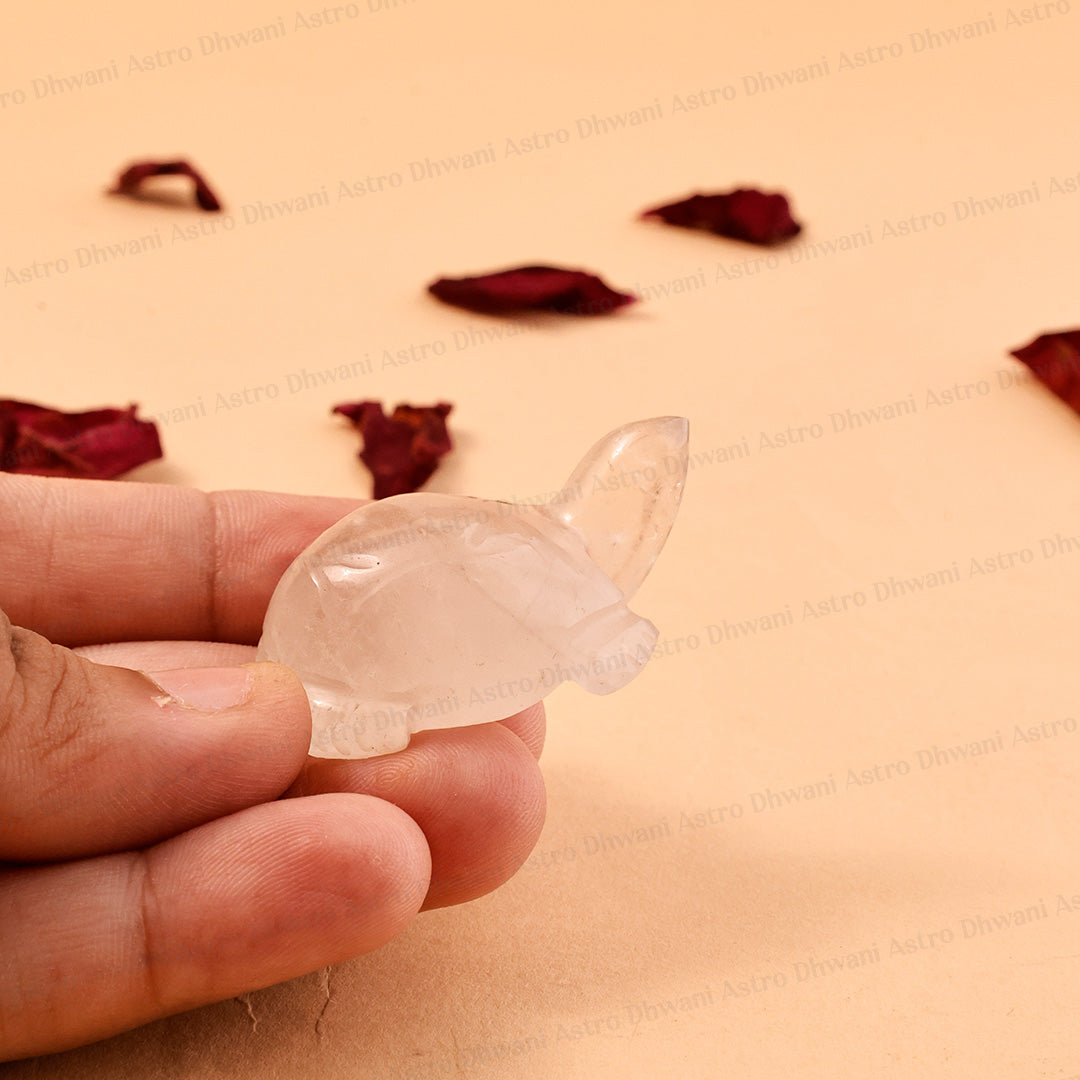 Clear Quartz Turtle | Vastu & Feng Shui Turtle | Meditation & Spiritual Gift