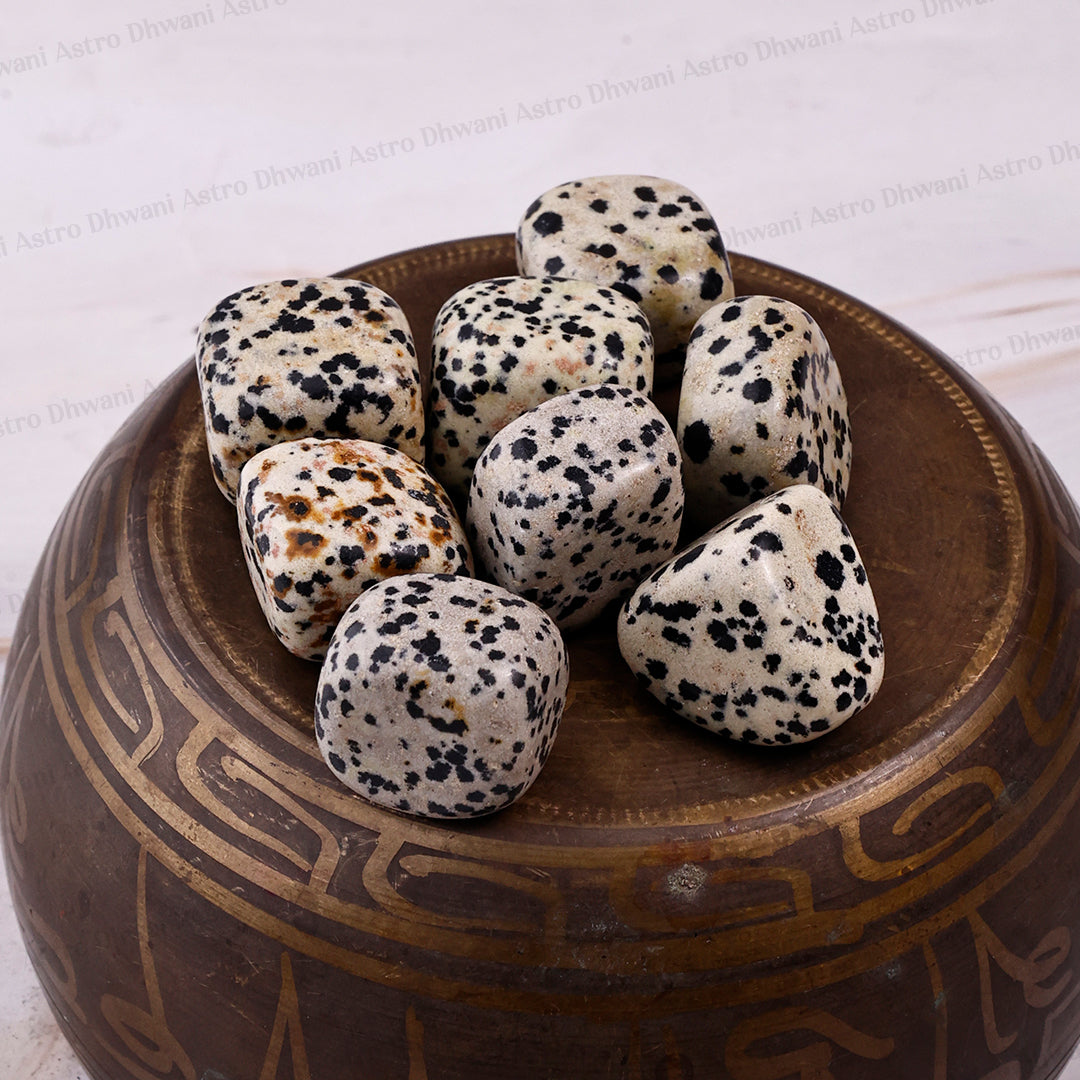 DALMATIAN JASPER TUMBLE ( Abhimantrit & Certified )