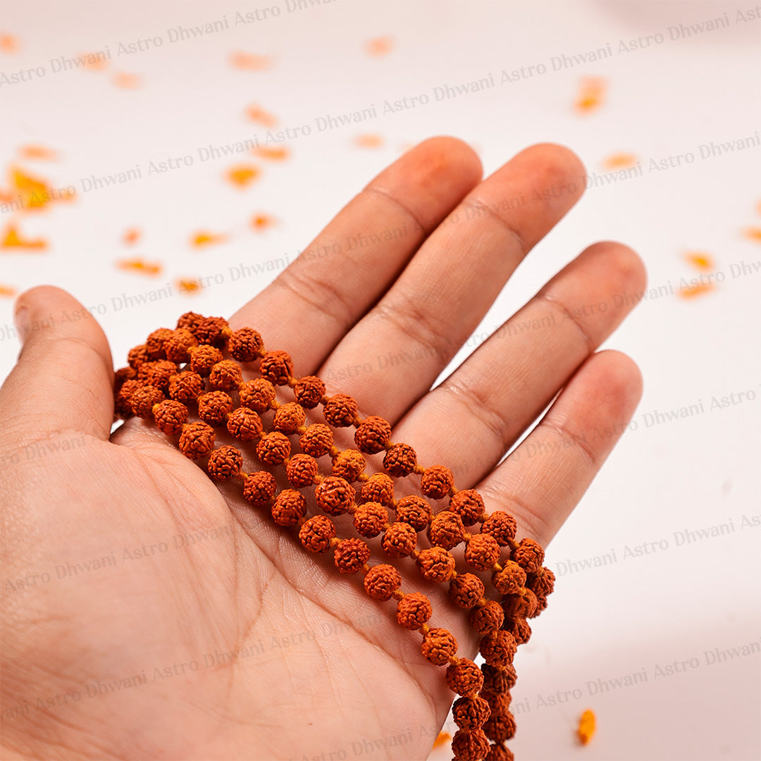 5 Mukhi Rudraksha Mala | Sacred Rudraksha Necklace for Meditation, Prayer, Japa & Spiritual Growth
