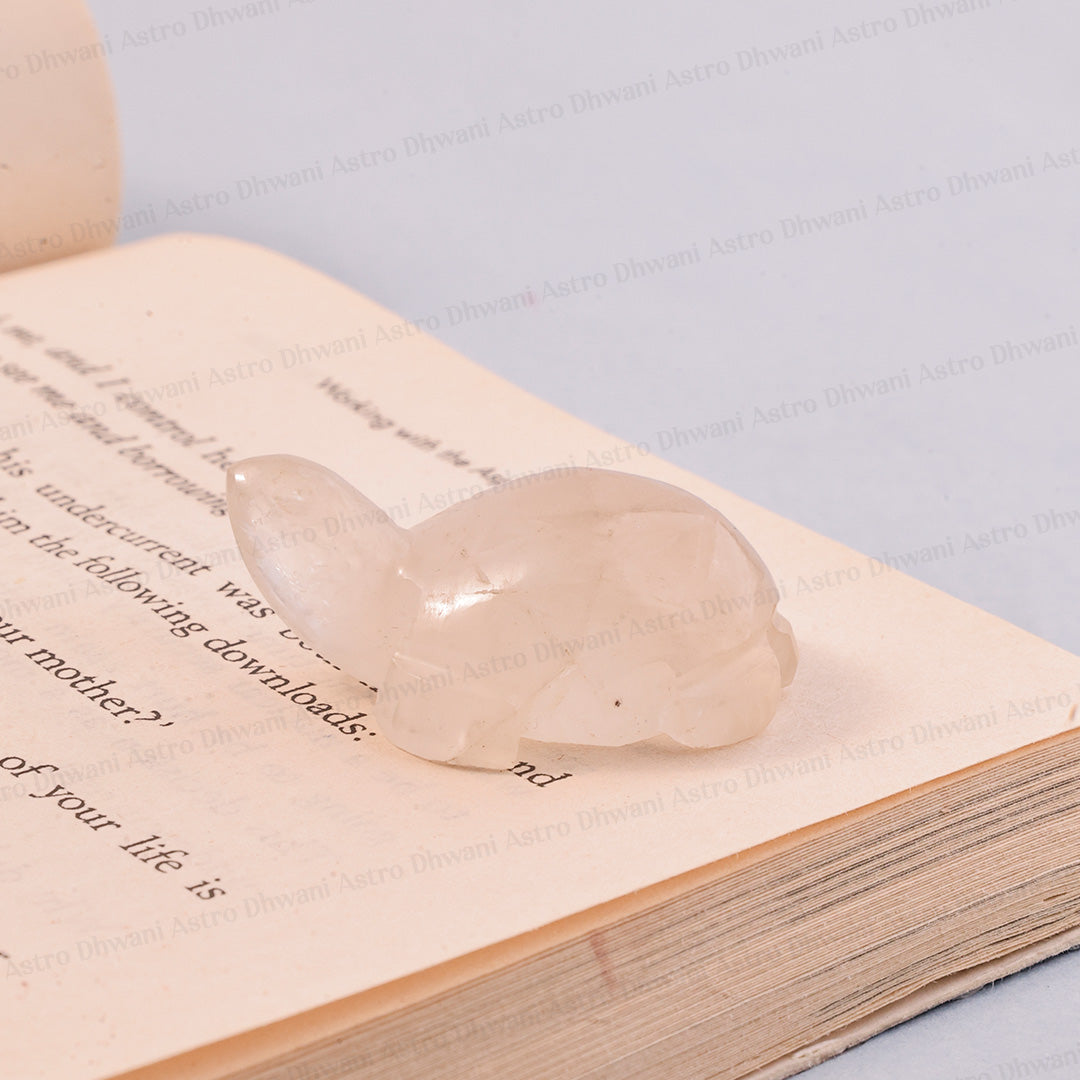 Clear Quartz Turtle | Vastu & Feng Shui Turtle | Meditation & Spiritual Gift