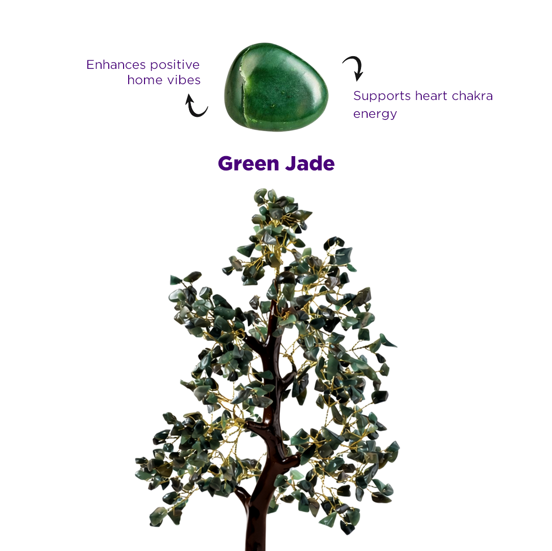 Promotes Wealth Attraction & Money Growth: Green Jade Tree - Abhimantrit