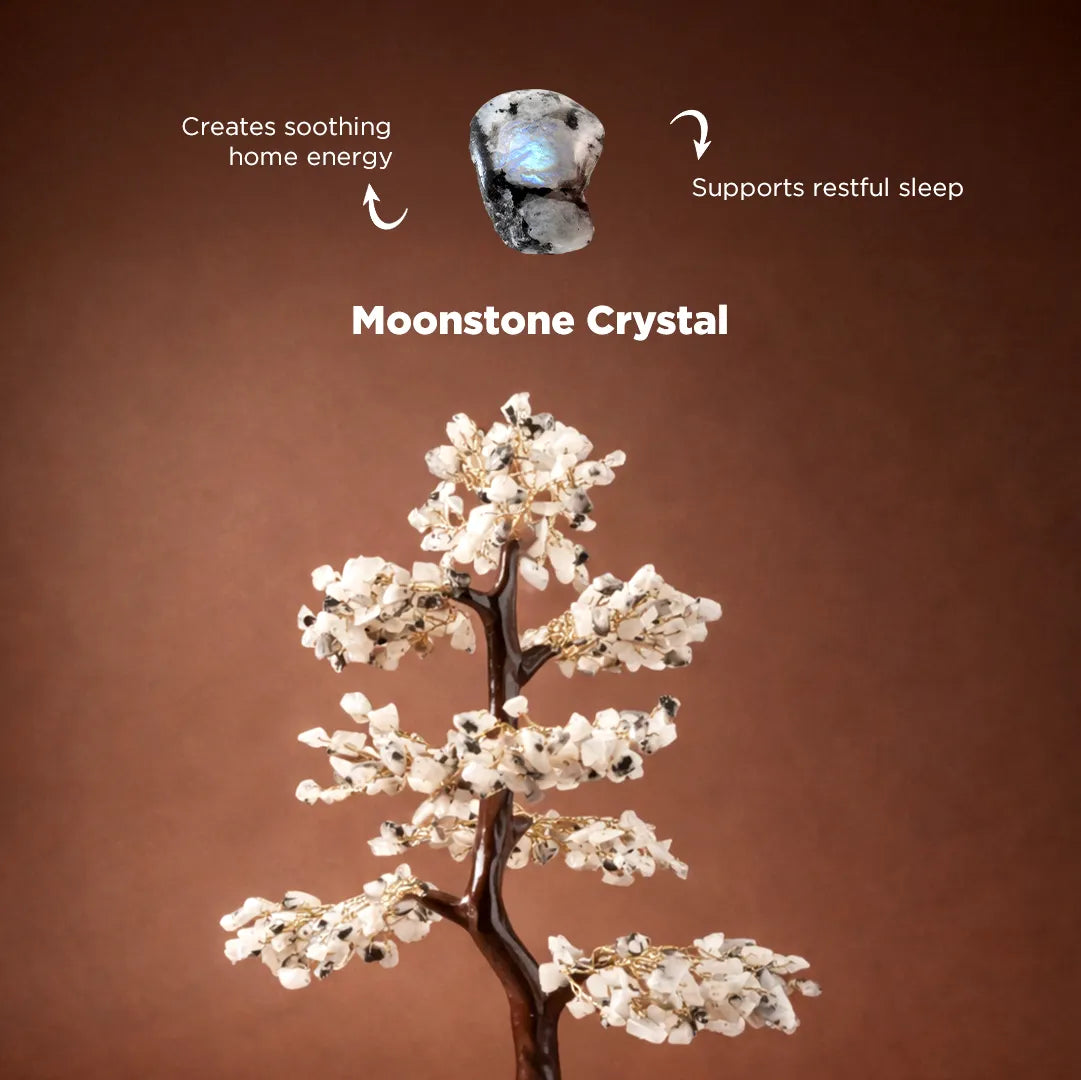 Moonstone crystal with its benefits on a brown backgroundMoonstone Crystal Tree – Mental Stress Relief & Confidence