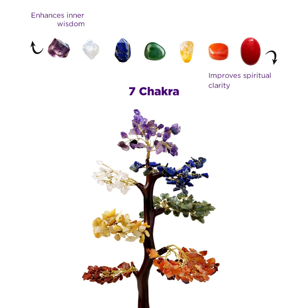 Tree with seven colored stones representing the 7 Chakra system on a white background.