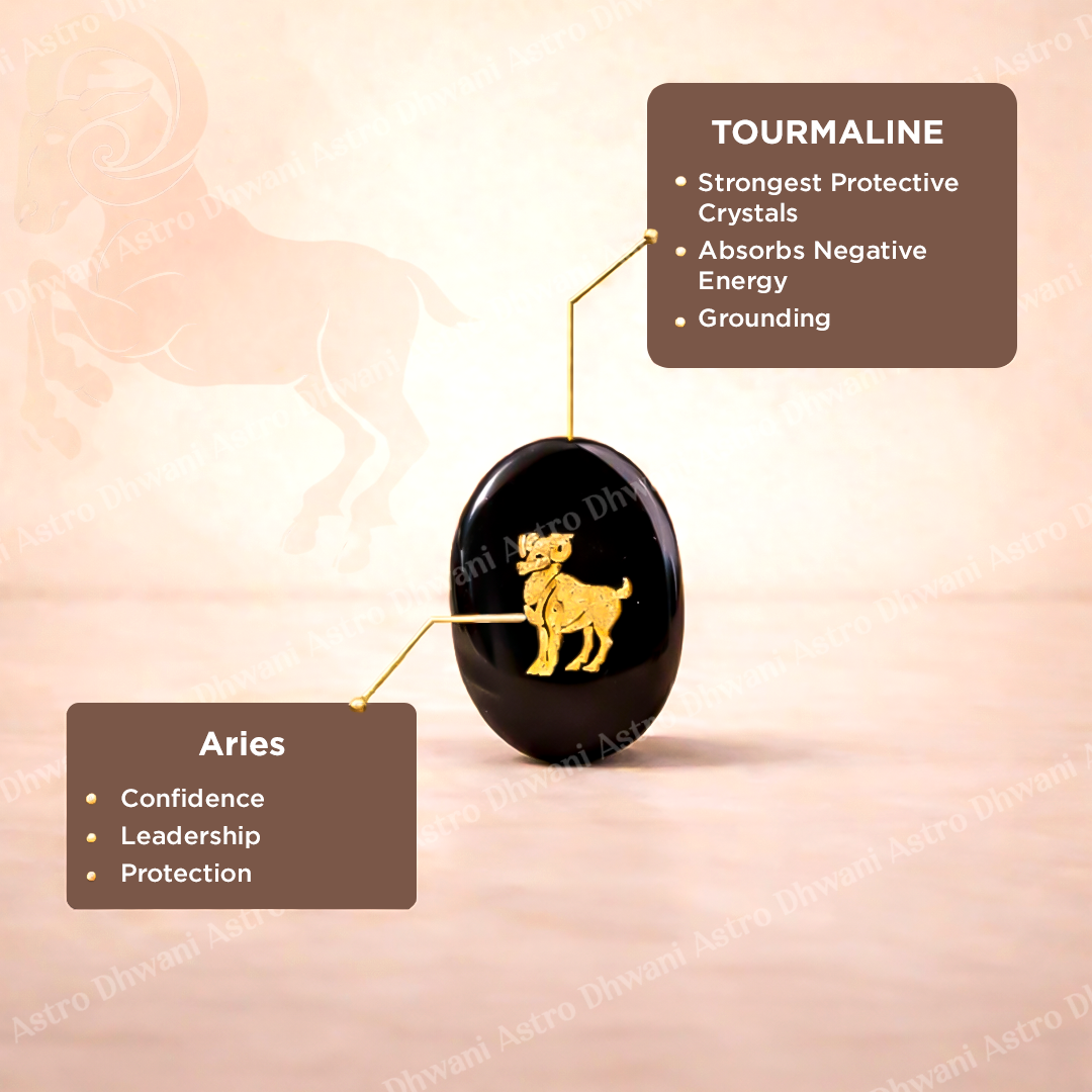 Aries Zodiac Sign Coin Abhimantrit
