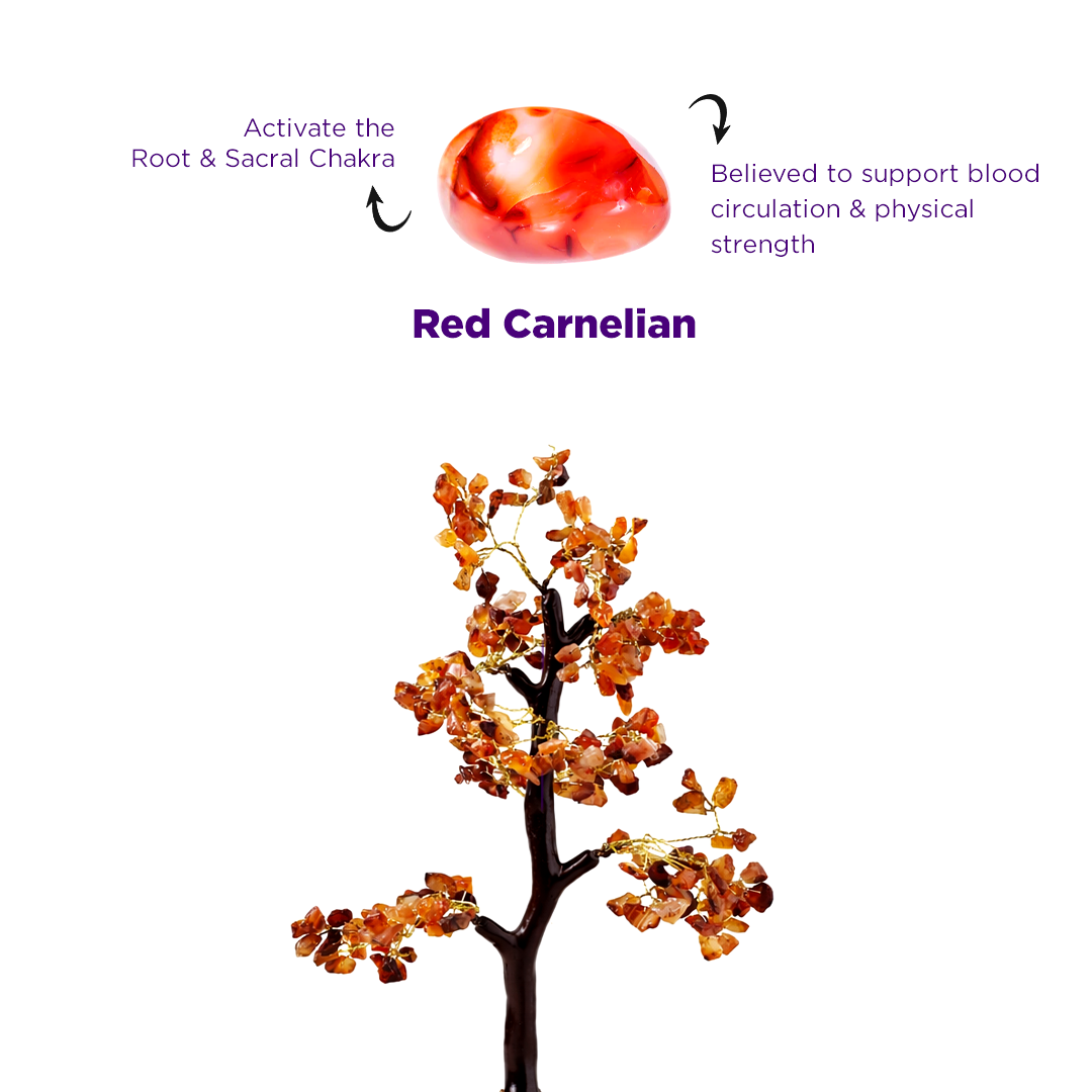 Carnelian Tree - Abhimantrit & Certified