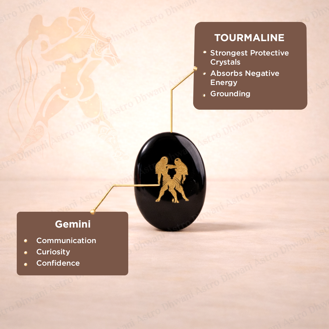 Gemini Zodiac Sign Coin Abhimantrit