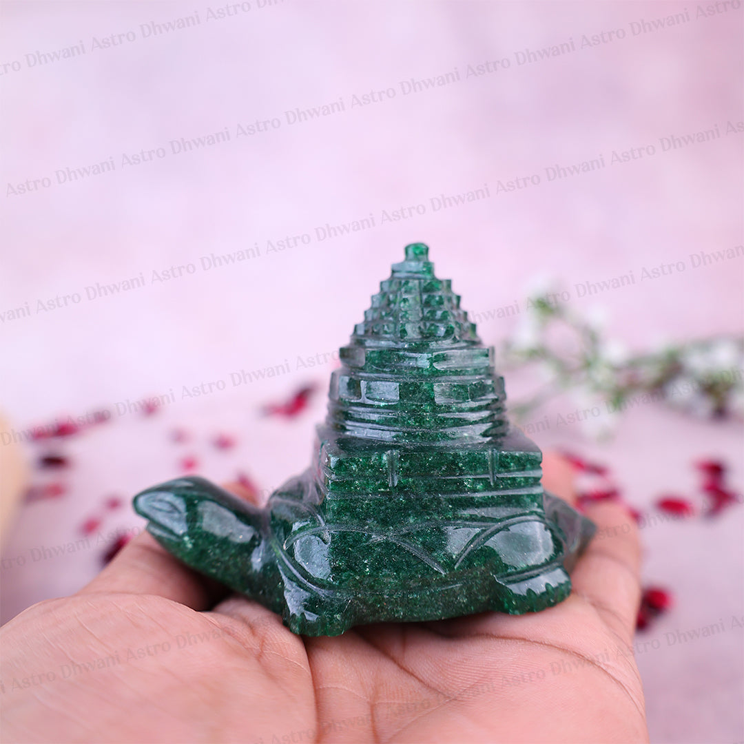 Turtle With Shree Yantra