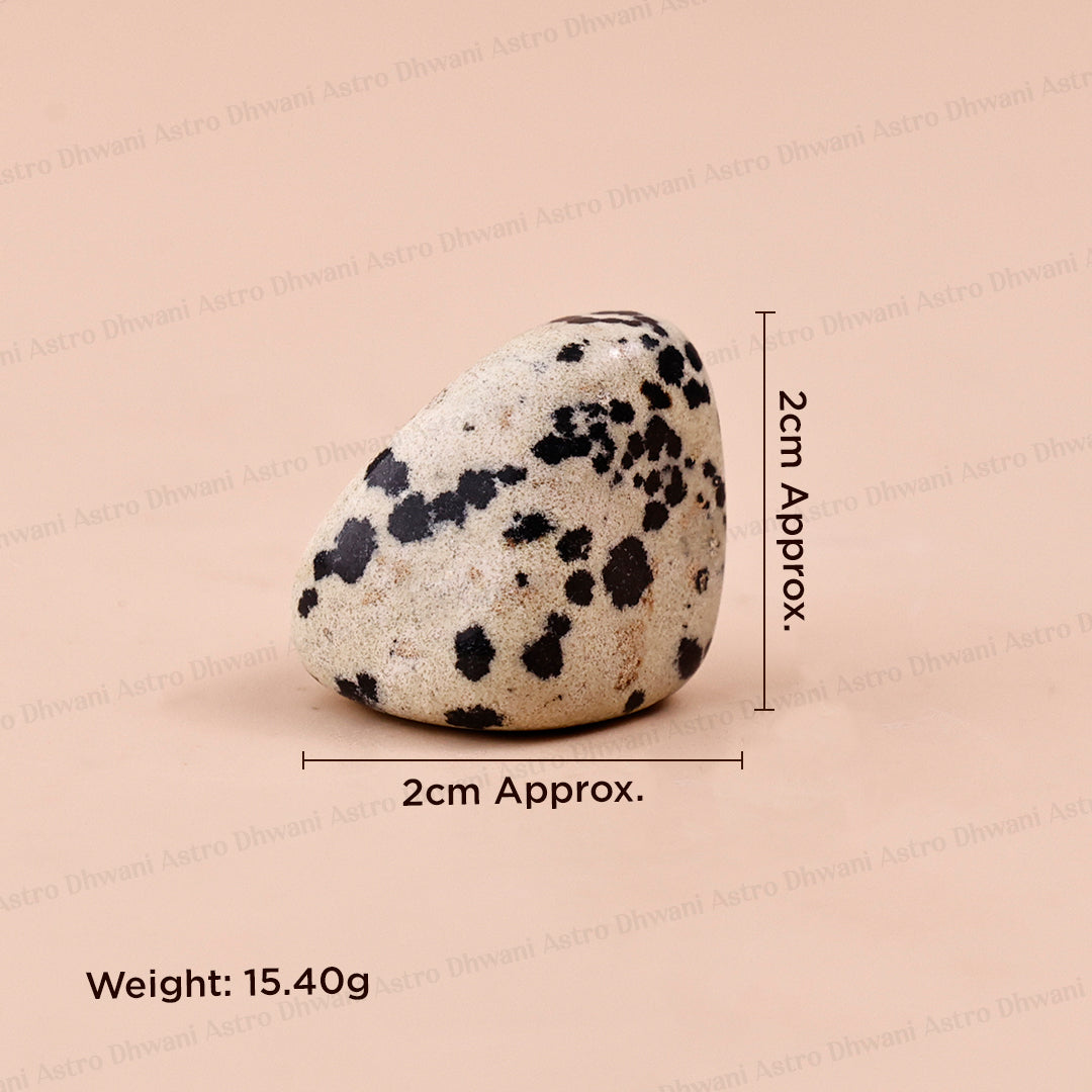 DALMATIAN JASPER TUMBLE ( Abhimantrit & Certified )