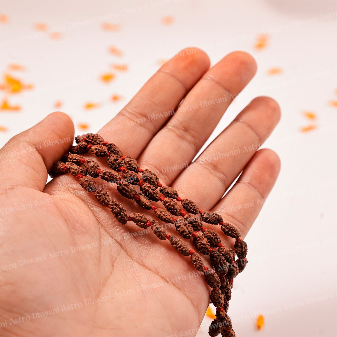 2 Mukhi Rudraksha Mala – Sacred Spiritual Necklace for Unity, Meditation & Divine Blessings
