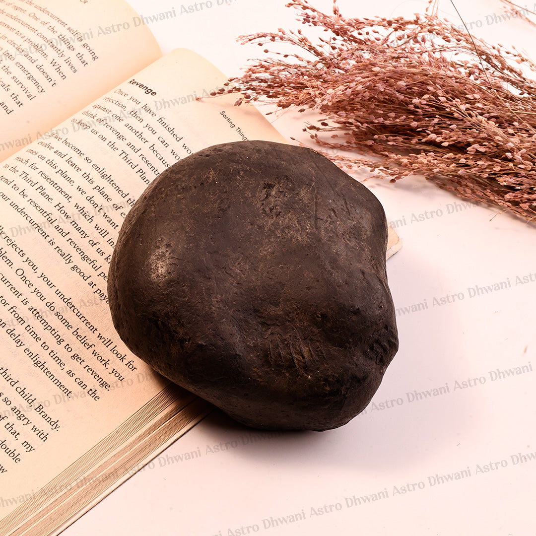 Natural Shaligram Shila | Sacred Shaligram Stone for Lord Vishnu Worship | Abhimantrit