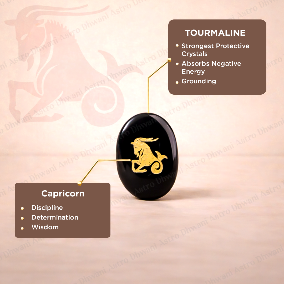 Capricorn Zodiac Sign Coin – Abhimantrit