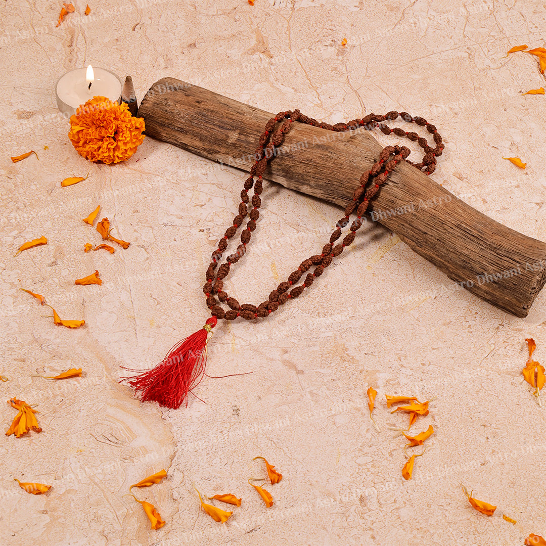 2 Mukhi Rudraksha Mala – Sacred Spiritual Necklace for Unity, Meditation & Divine Blessings