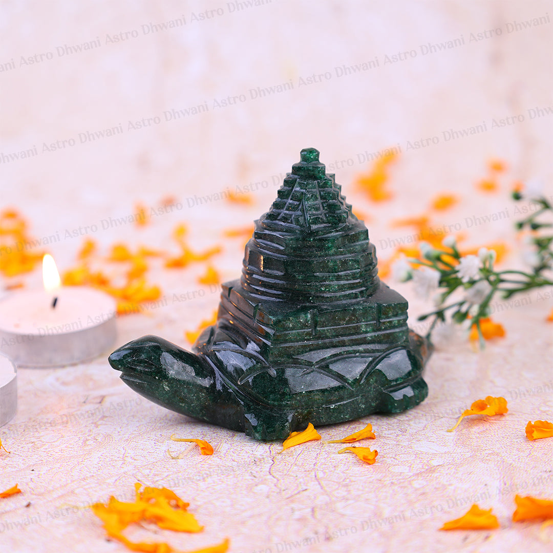 Turtle With Shree Yantra