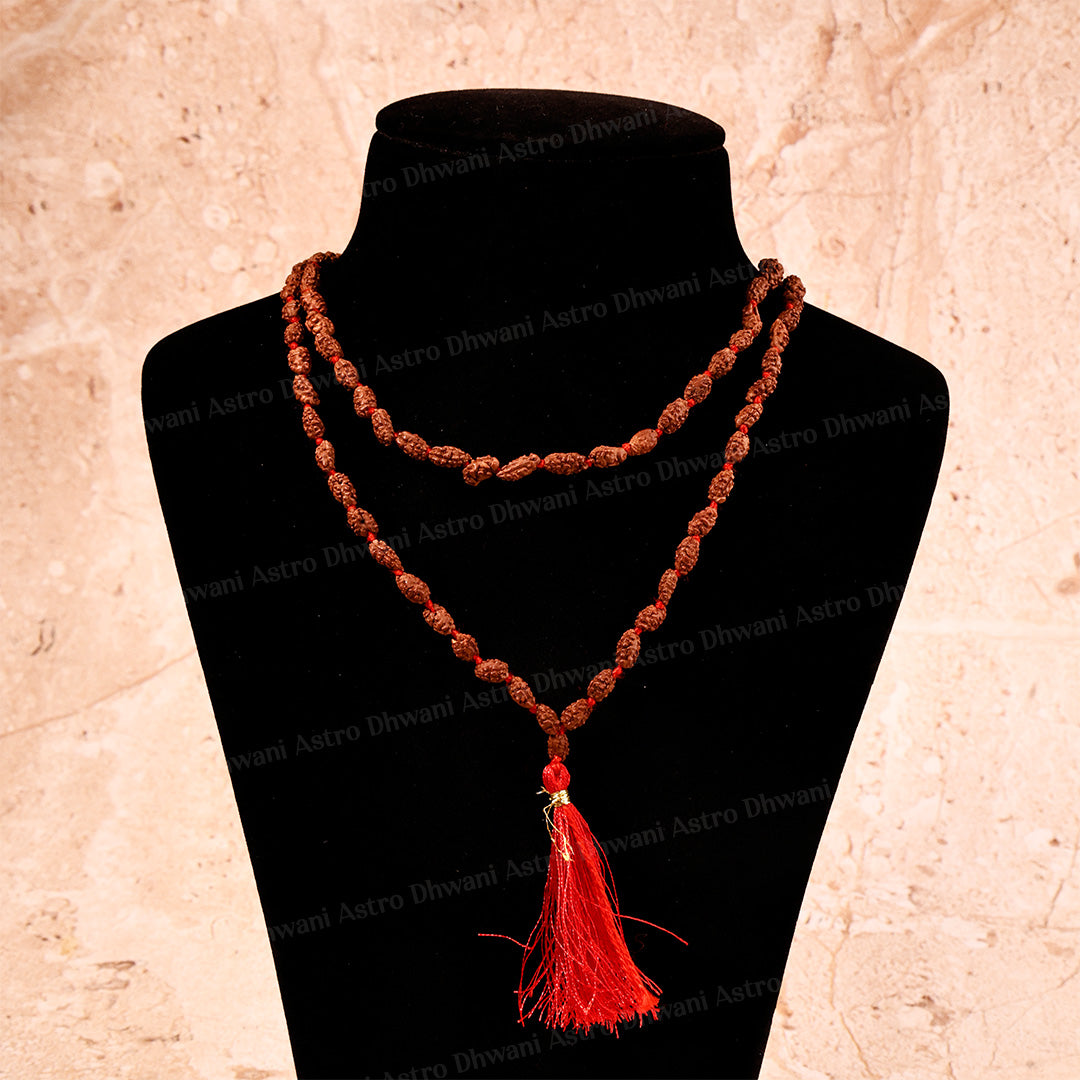2 Mukhi Rudraksha Mala – Sacred Spiritual Necklace for Unity, Meditation & Divine Blessings