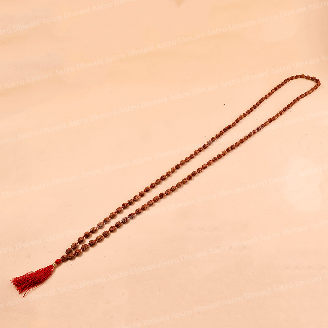 3 Mukhi Rudraksha Mala – Sacred Spiritual Necklace for Prayer, Meditation & Healing