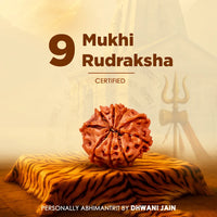 Nepali 9 Mukhi Rudraksha (Nine Faced)