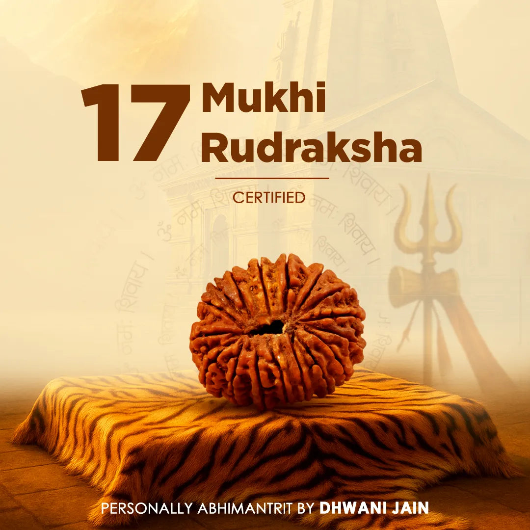 Original Nepali 17 Mukhi Rudraksha Seventeen-Faced Abhimantrit