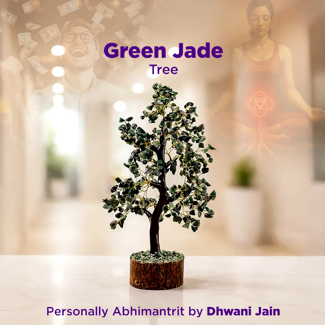 Green jade tree on a white surface with a blurred background featuring people and lights.