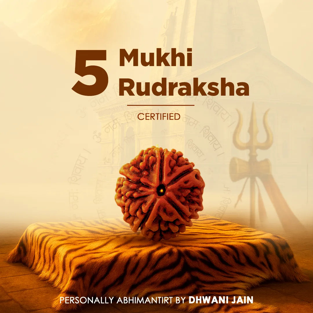 5 Mukhi Rudraksha (Five Faced)