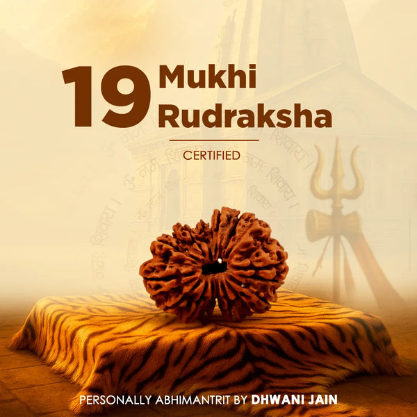 Original Nepali 19 Mukhi Rudraksha Nineteen-Faced Abhimantrit