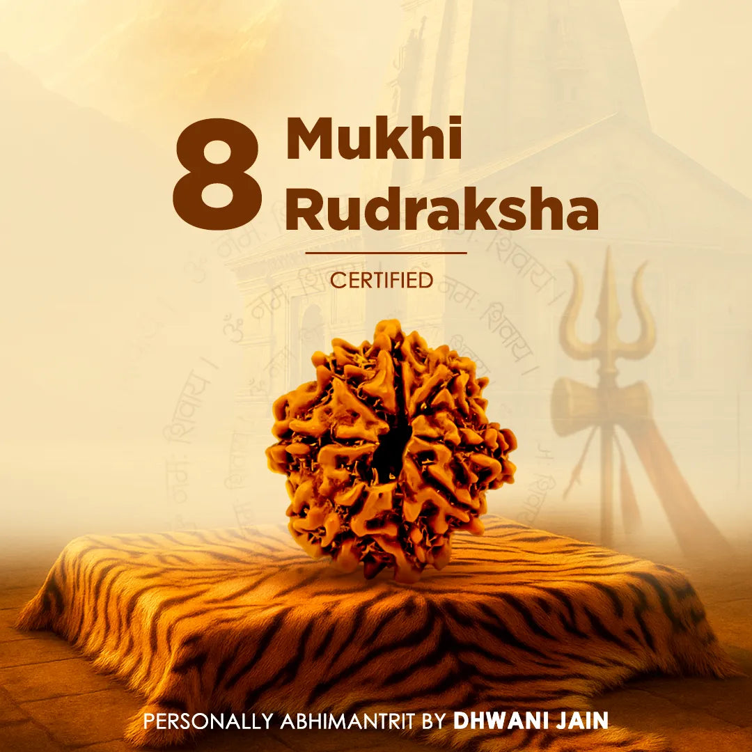 Nepali 8 Mukhi Rudraksha (Eight Faced)