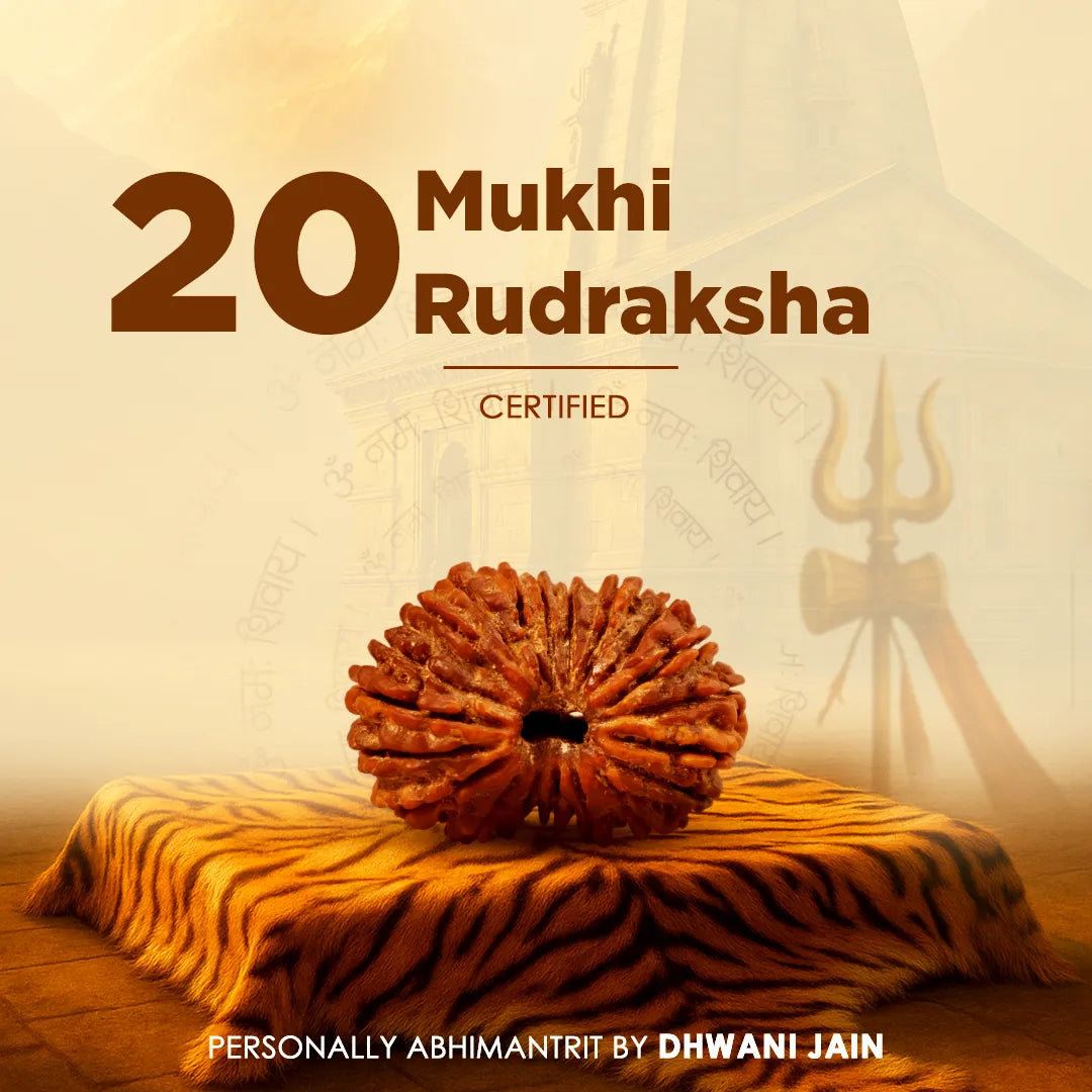 Original 20 Mukhi Rudraksha Twenty-Faced Abhimantrit