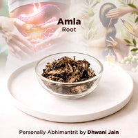 Amla Root – Vitality, Healing & Positive Energy Support