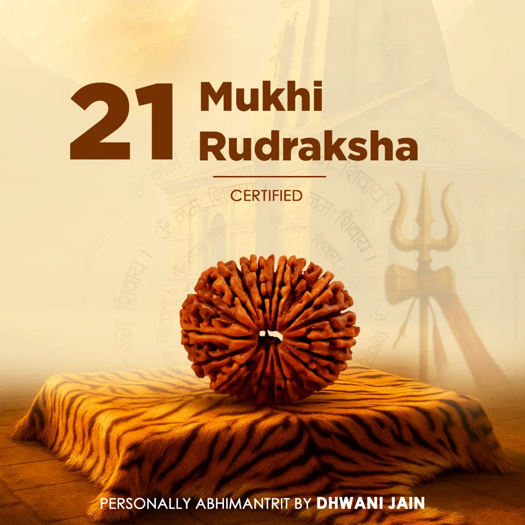 Original 21 Mukhi Rudraksha Twenty-One Faced Abhimantrit