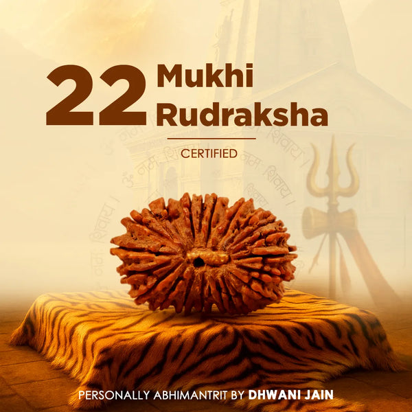 Original Nepali 22 Mukhi Rudraksha Twenty-Two Faced Abhimantrit