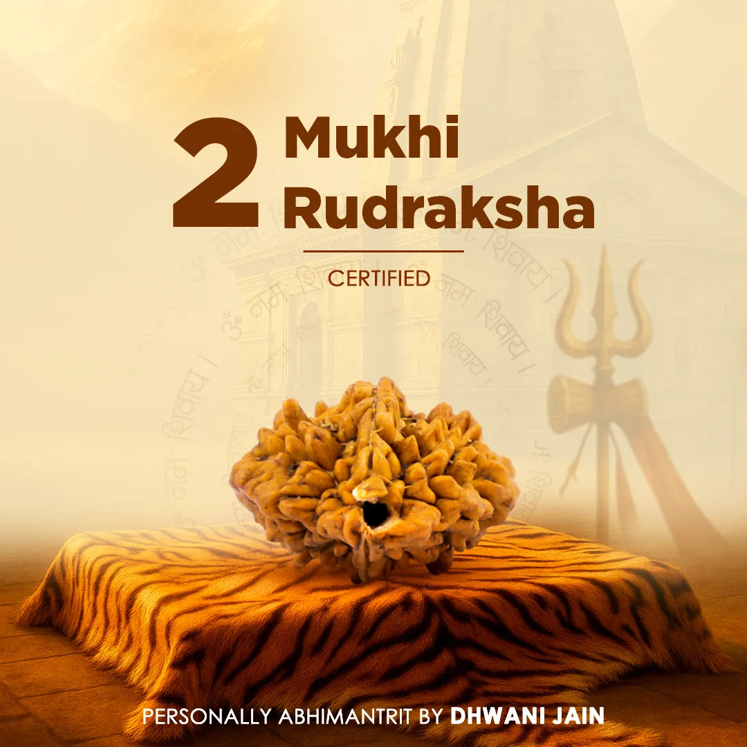 Nepali 2 Mukhi Rudraksha (Two Faced)
