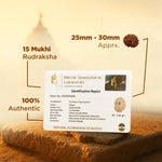Identification report card for 15 Mukhi Rudraksha with lab certification on a textured surface.