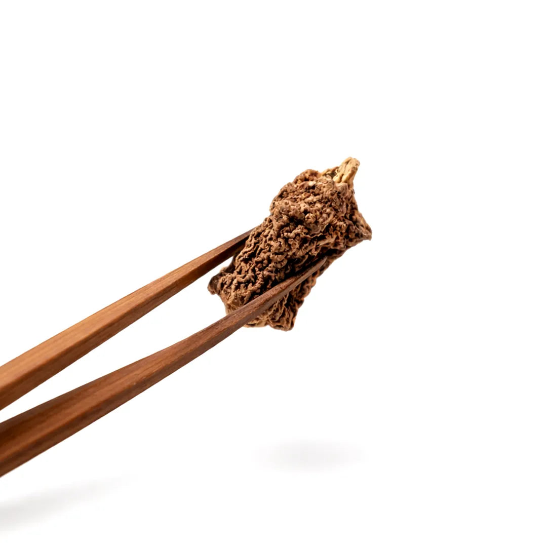 Wooden tongs holding a piece of wood on a white backgroundKhirni Mool Roots – Strength, Stability & Positive Energy Support