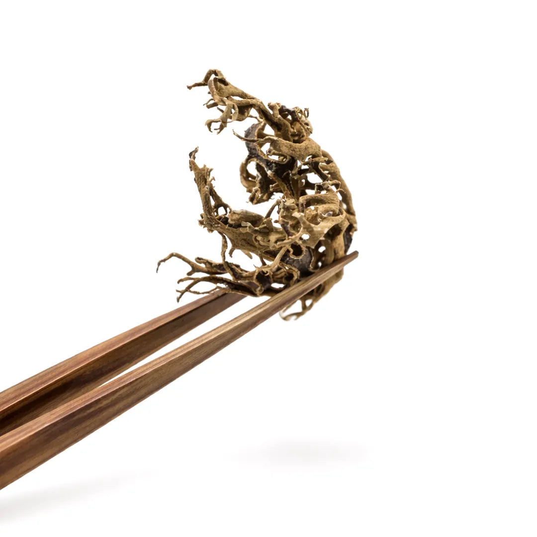 Decorative chopsticks with intricate gold dragon design on a white background