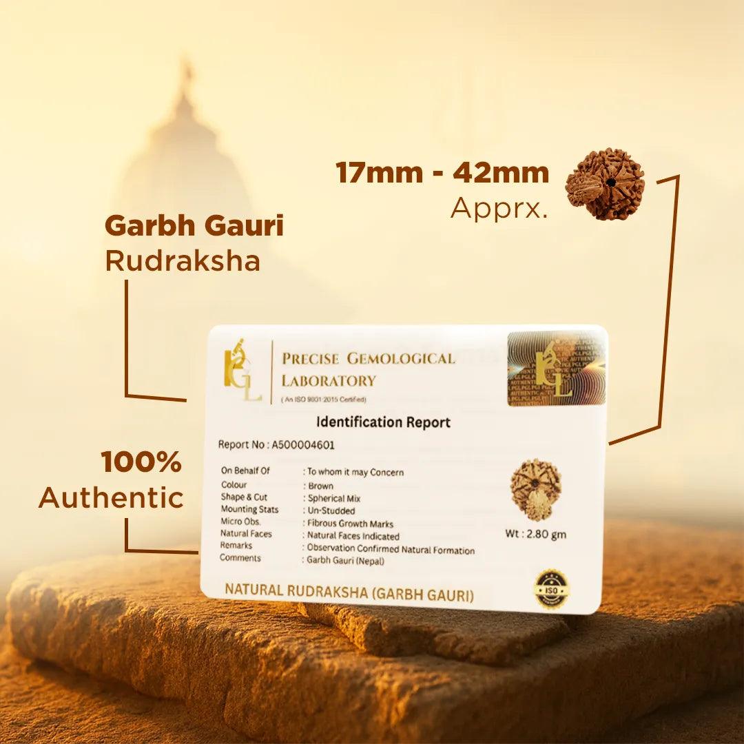 Identification report card for Garbh Gauri Rudraksha with laboratory details on a textured background