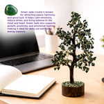 Small green jade tree on a desk with a laptop and open book, text about green jade crystal's benefits.