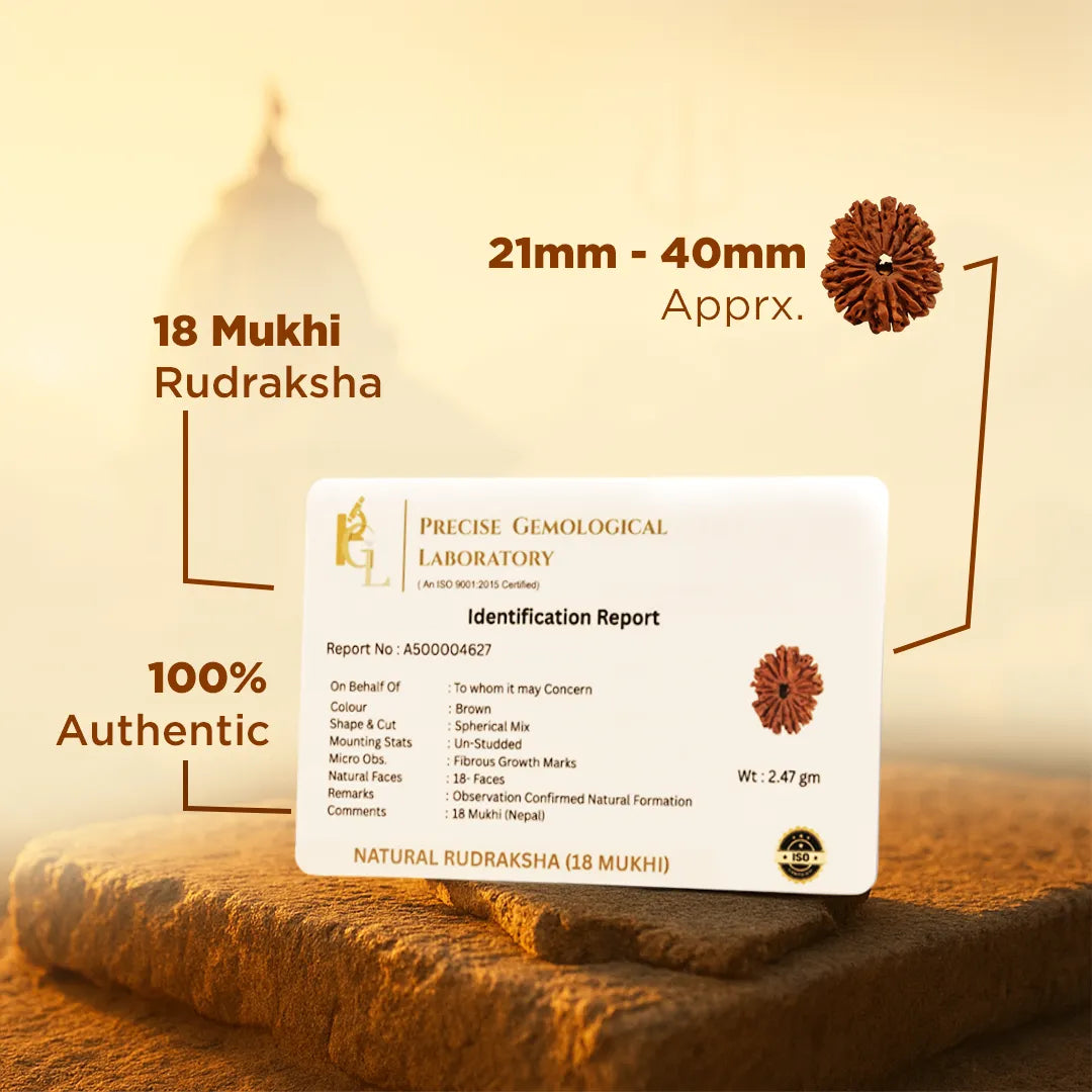 Certified Nepali 18 Mukhi Rudraksha for stability and security