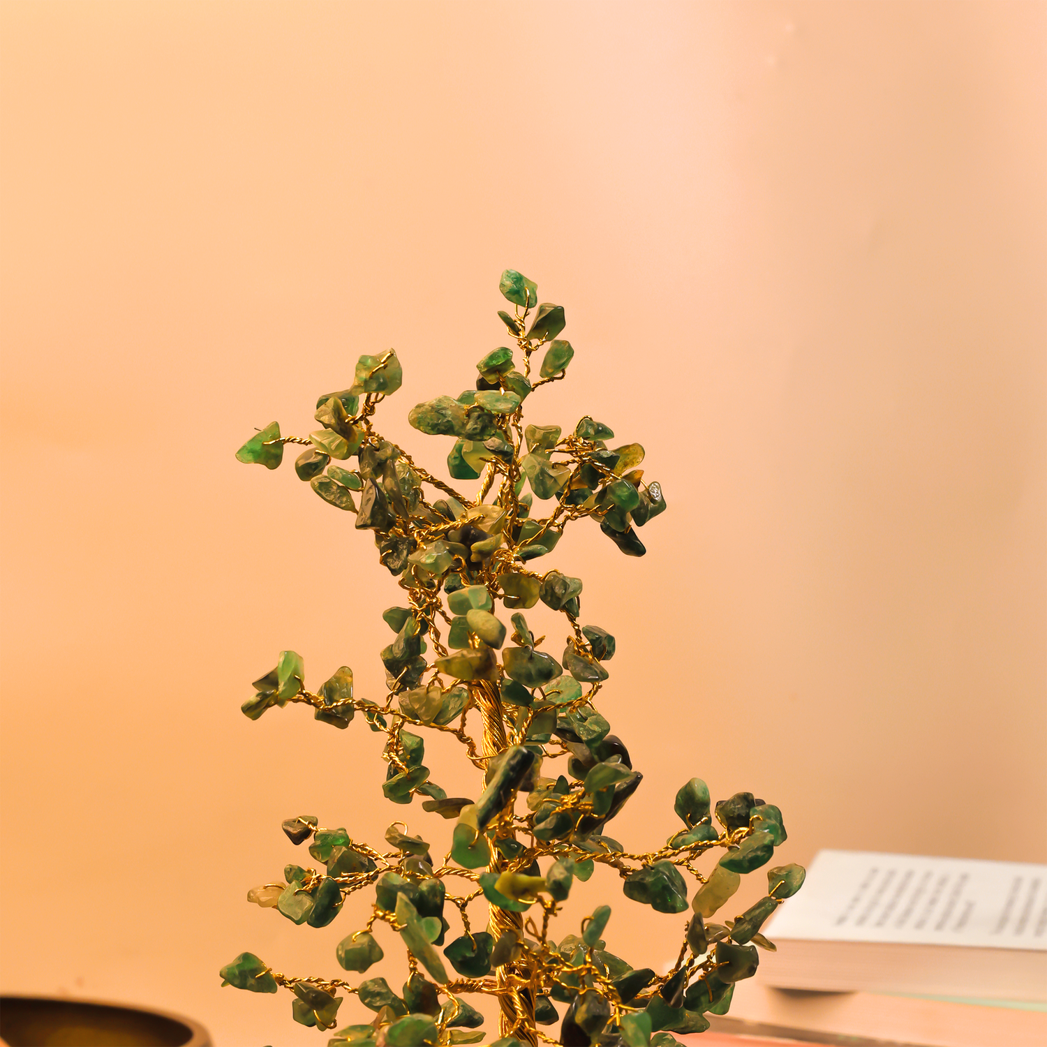 Green Jade Tree